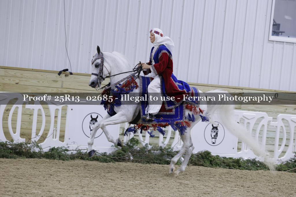 Proof 25R13_02685