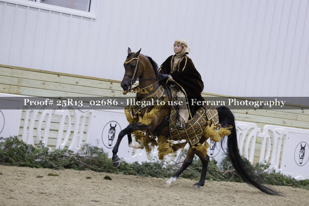 Proof 25R13_02686