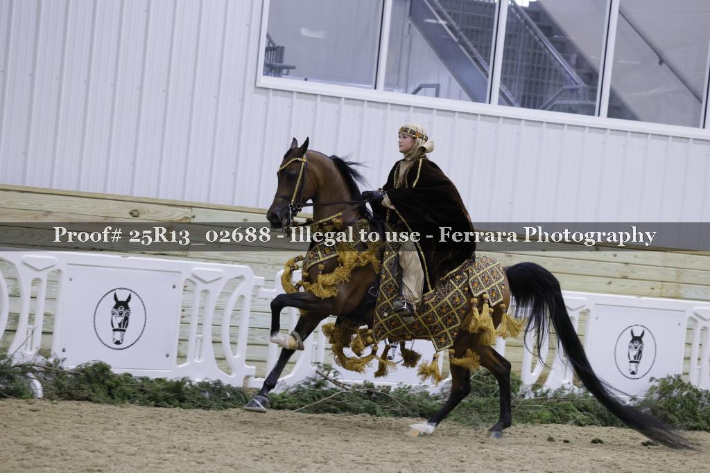 Proof 25R13_02688