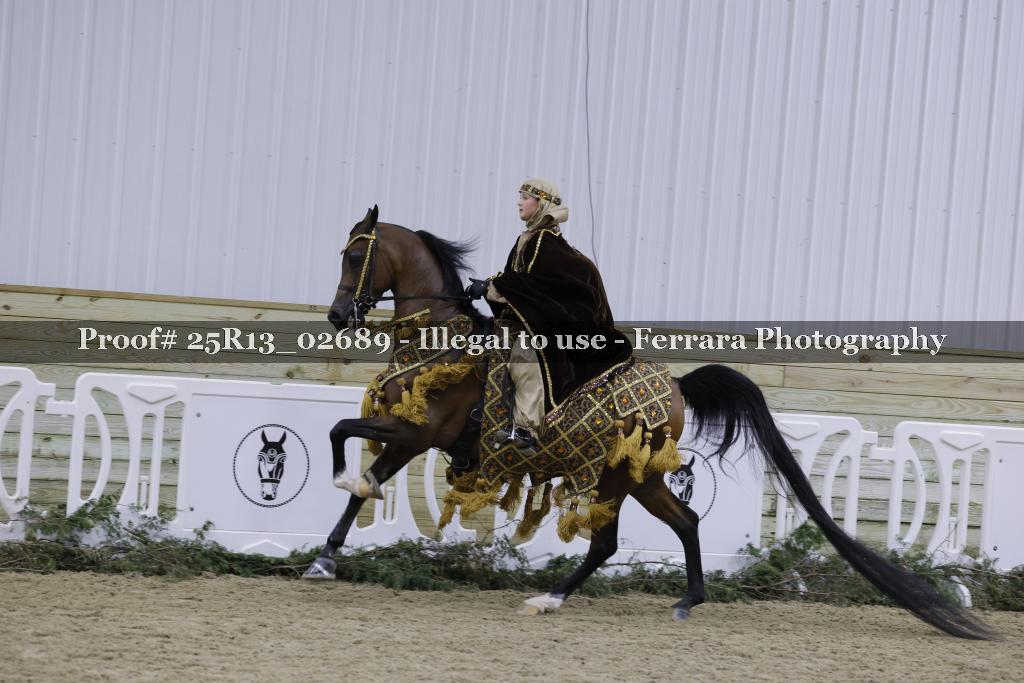 Proof 25R13_02689