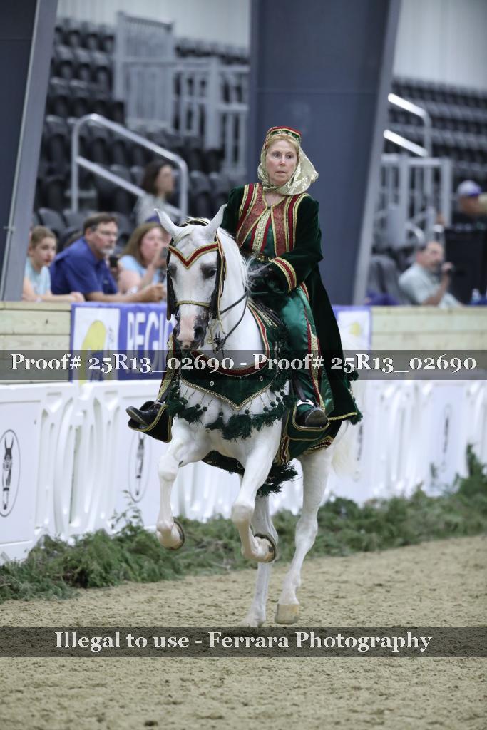 Proof 25R13_02690