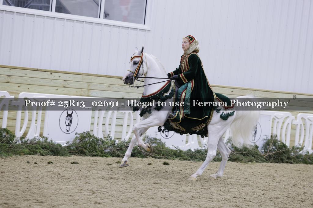 Proof 25R13_02691
