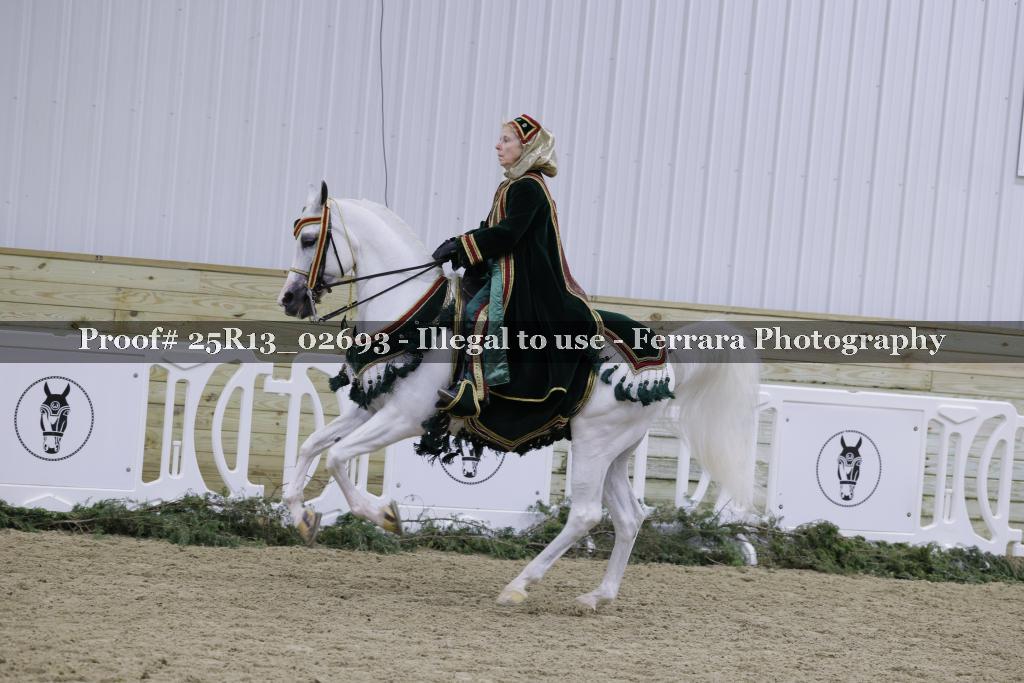 Proof 25R13_02693