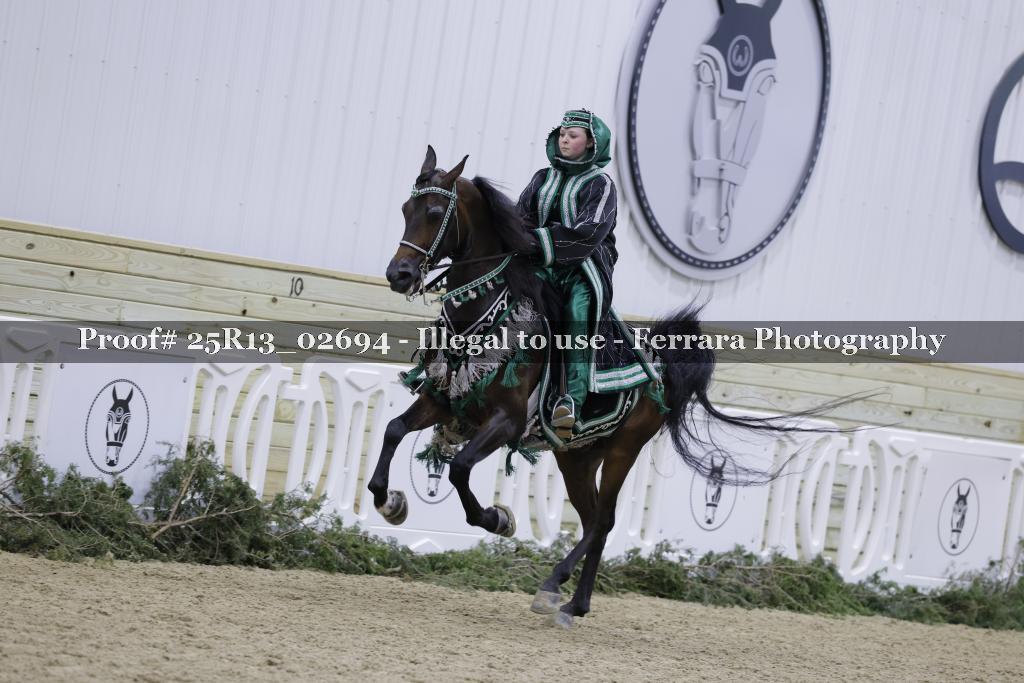 Proof 25R13_02694