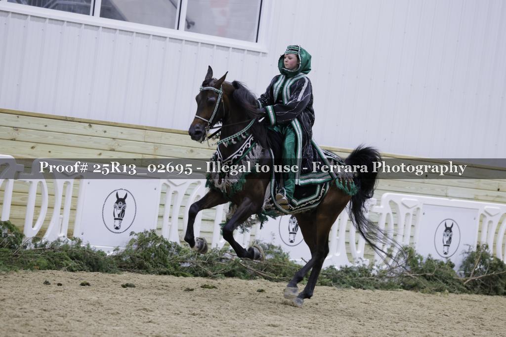 Proof 25R13_02695