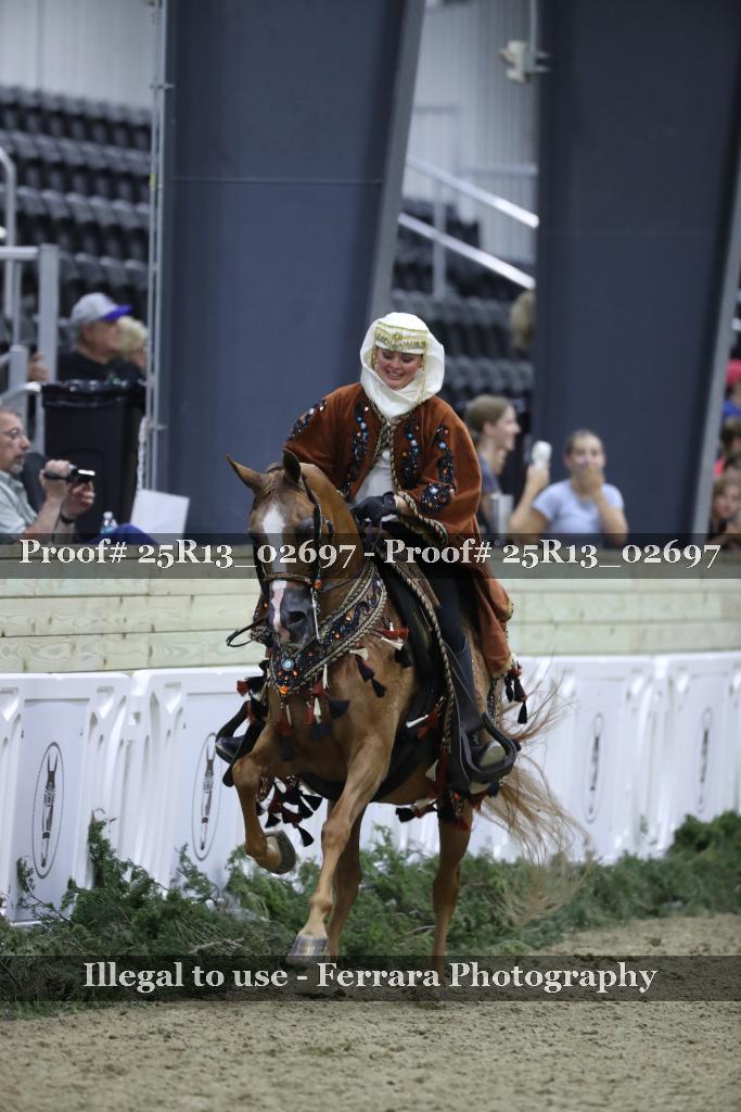 Proof 25R13_02697