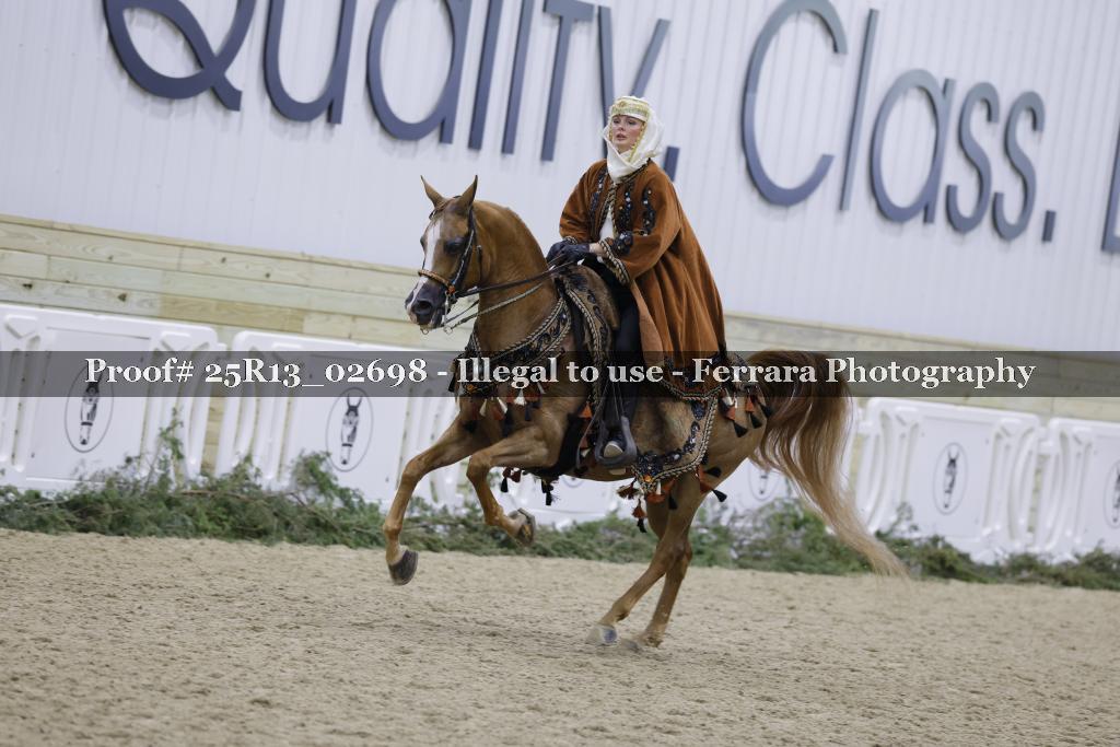 Proof 25R13_02698