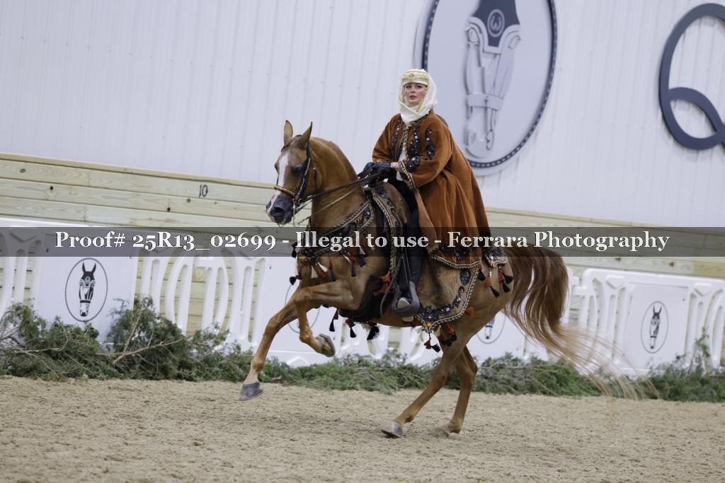 Proof 25R13_02699