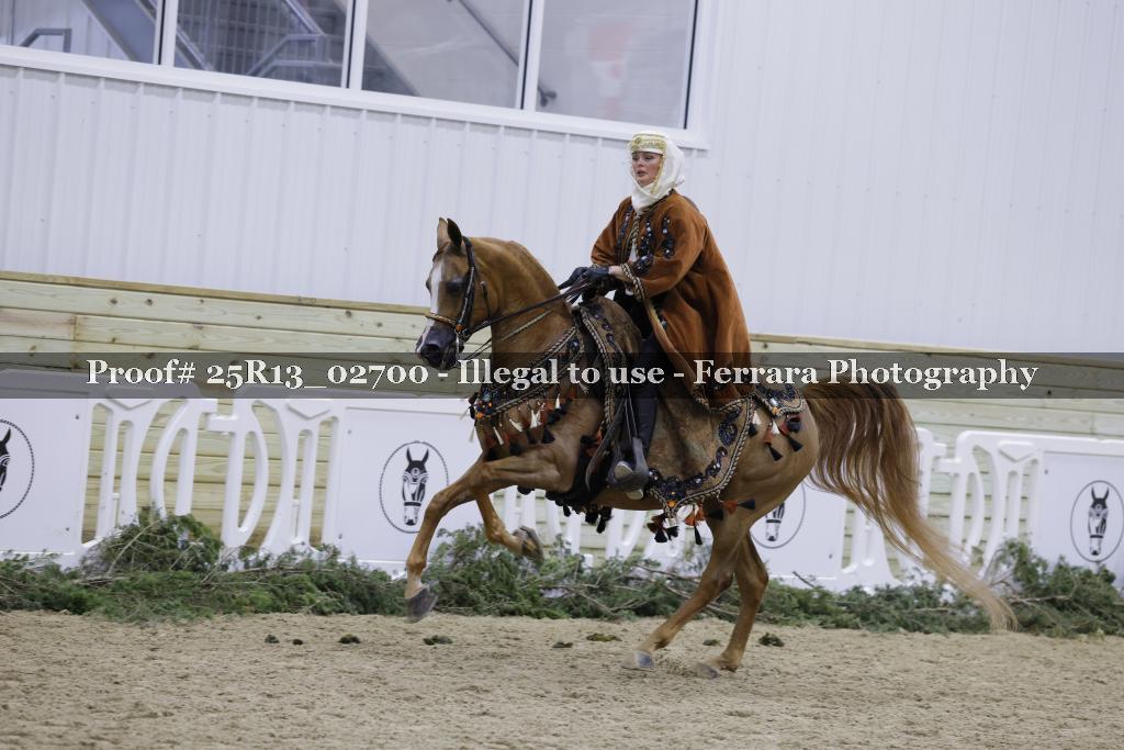 Proof 25R13_02700