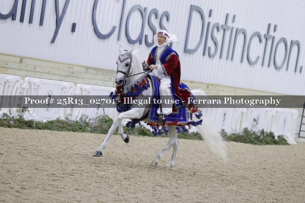 Proof 25R13_02701