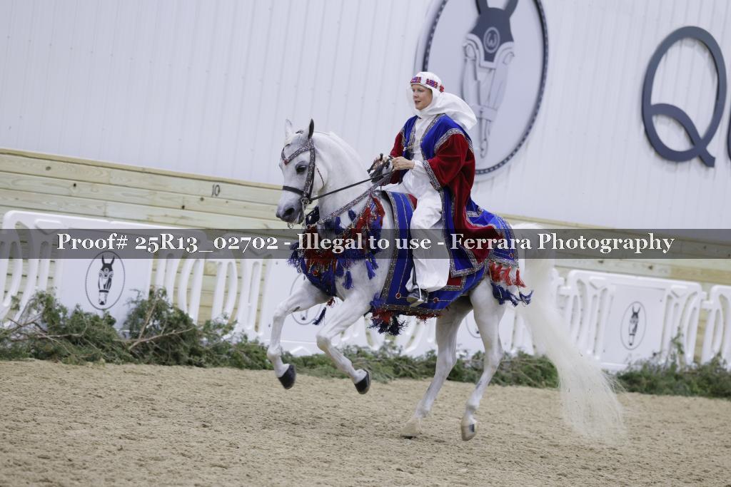 Proof 25R13_02702