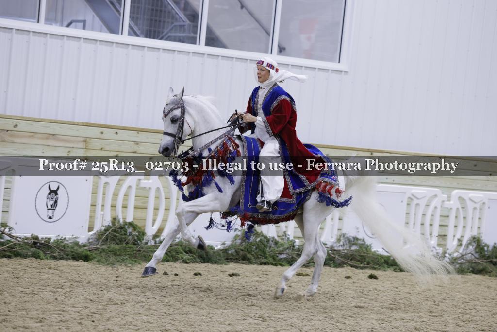 Proof 25R13_02703