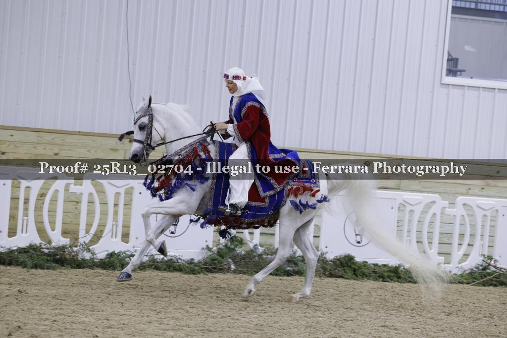Proof 25R13_02704