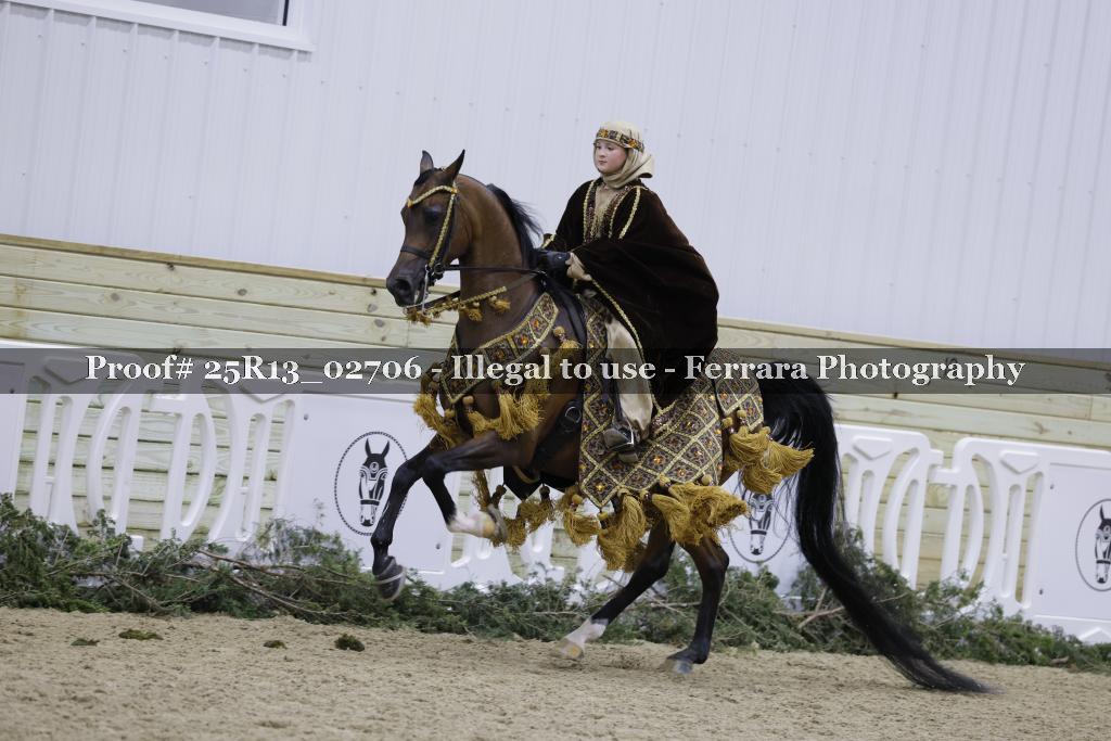 Proof 25R13_02706