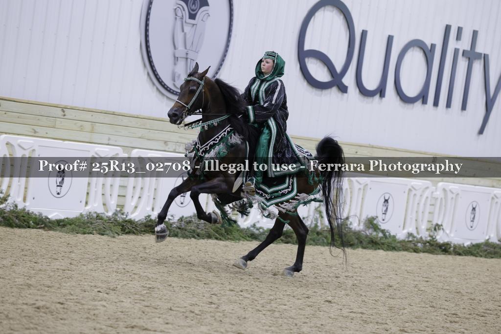 Proof 25R13_02708