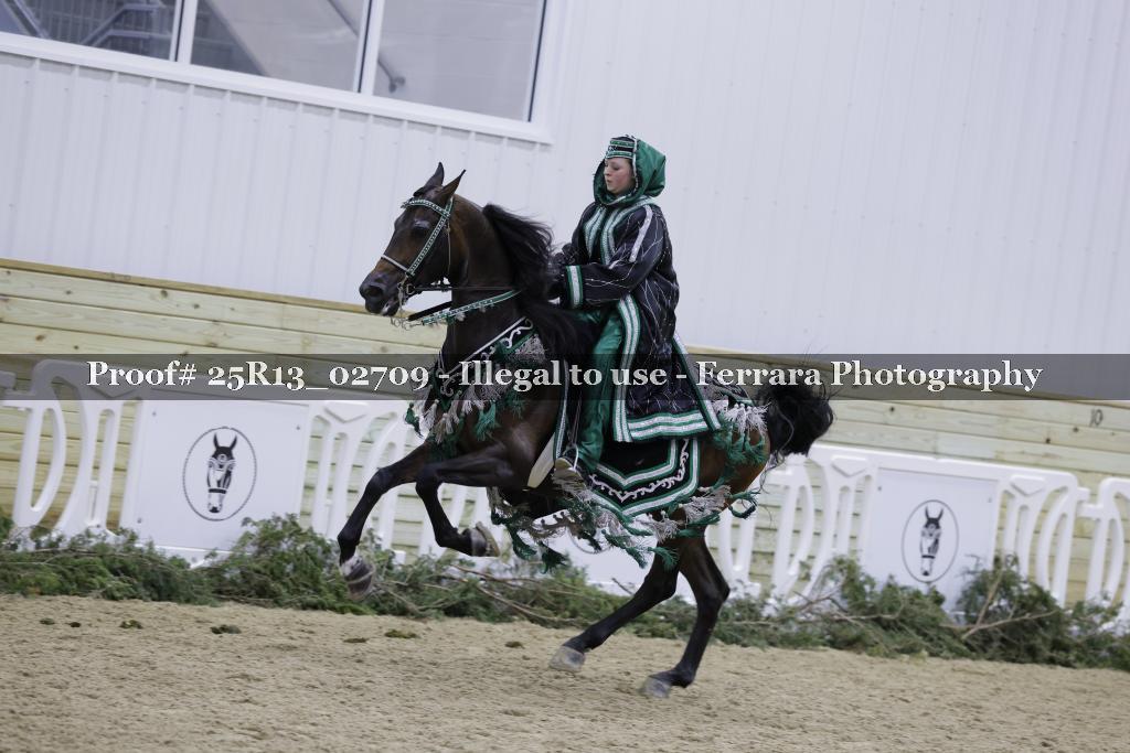 Proof 25R13_02709