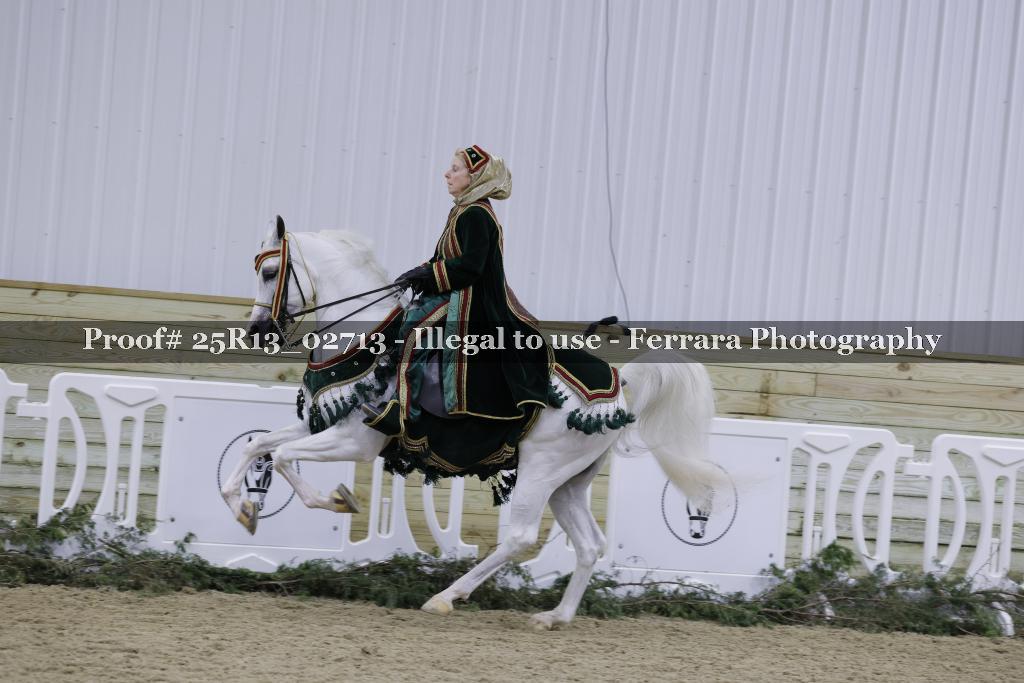 Proof 25R13_02713