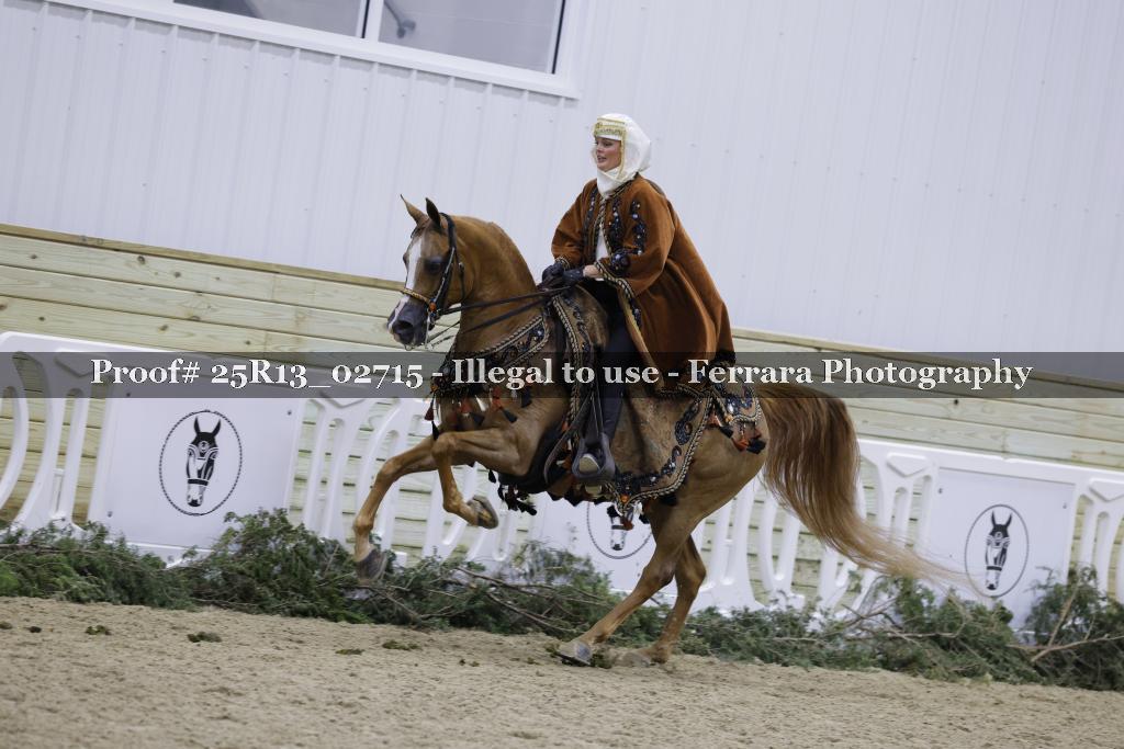 Proof 25R13_02715