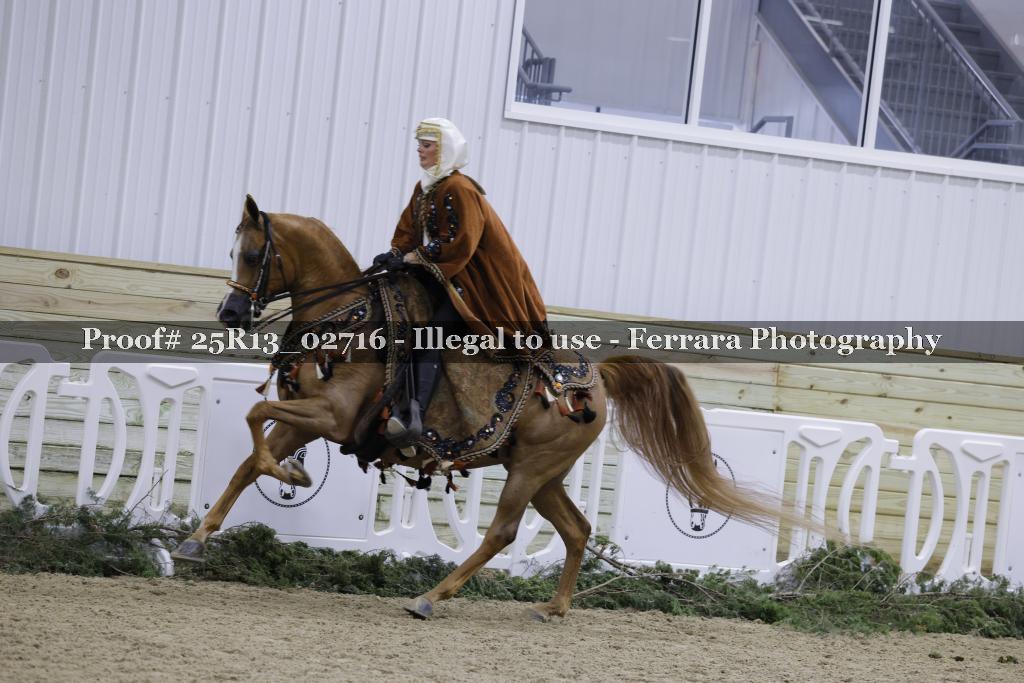 Proof 25R13_02716