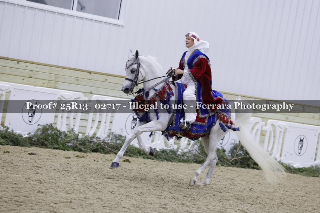 Proof 25R13_02717