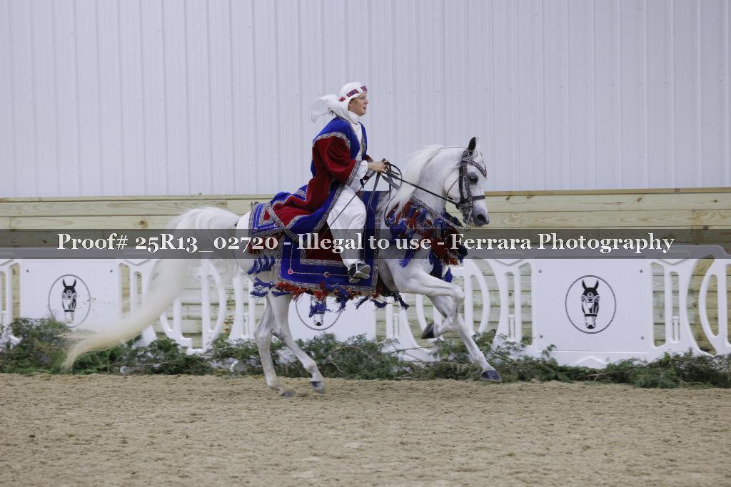 Proof 25R13_02720