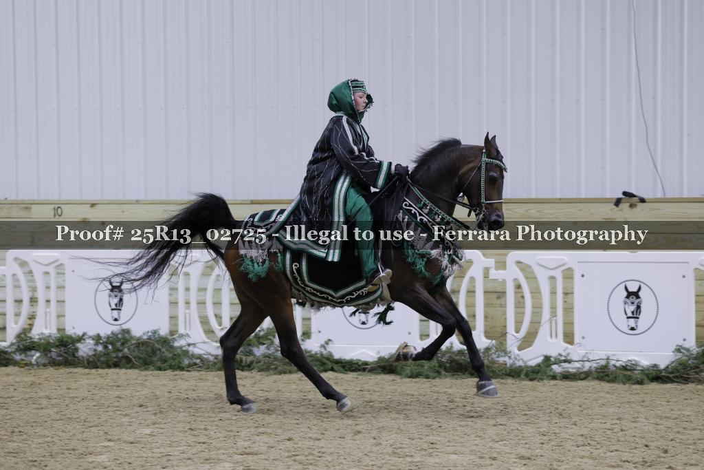 Proof 25R13_02725