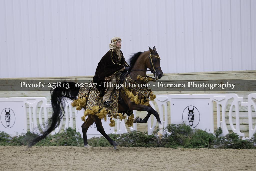 Proof 25R13_02727