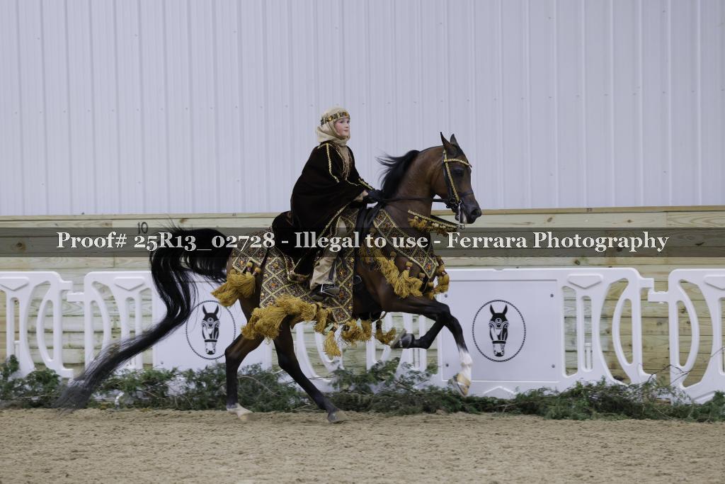Proof 25R13_02728