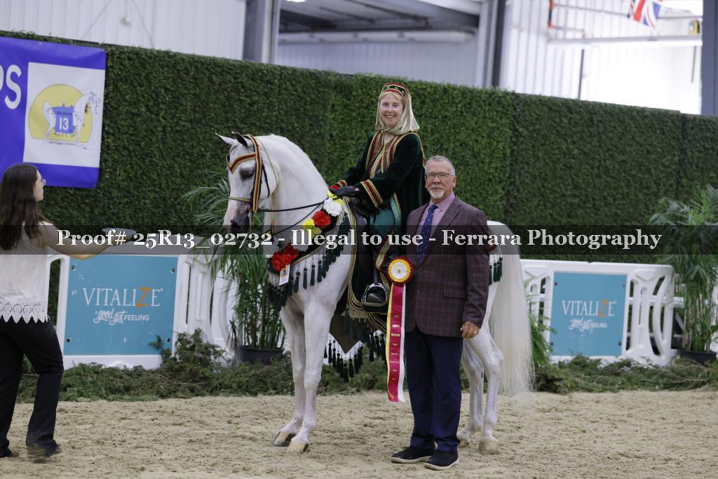 Proof 25R13_02732