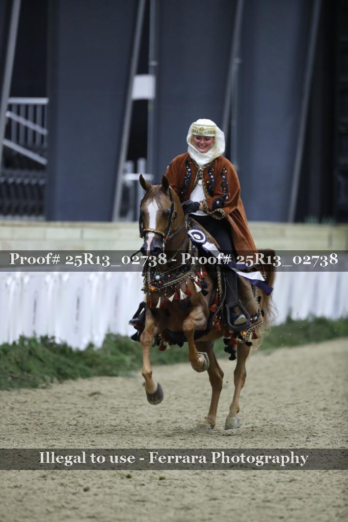 Proof 25R13_02738