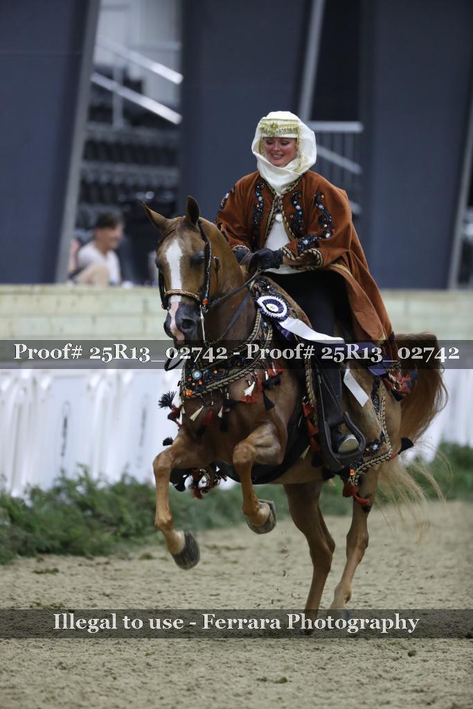 Proof 25R13_02742