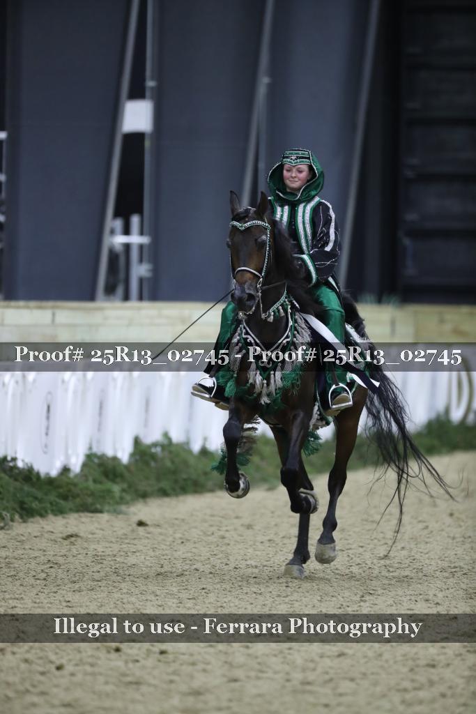 Proof 25R13_02745