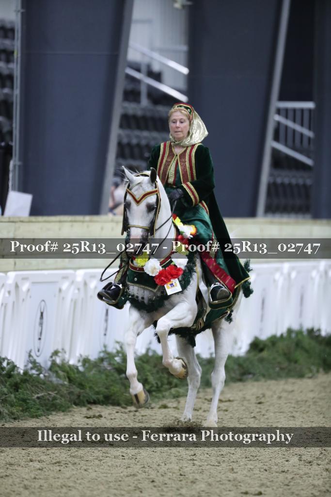 Proof 25R13_02747