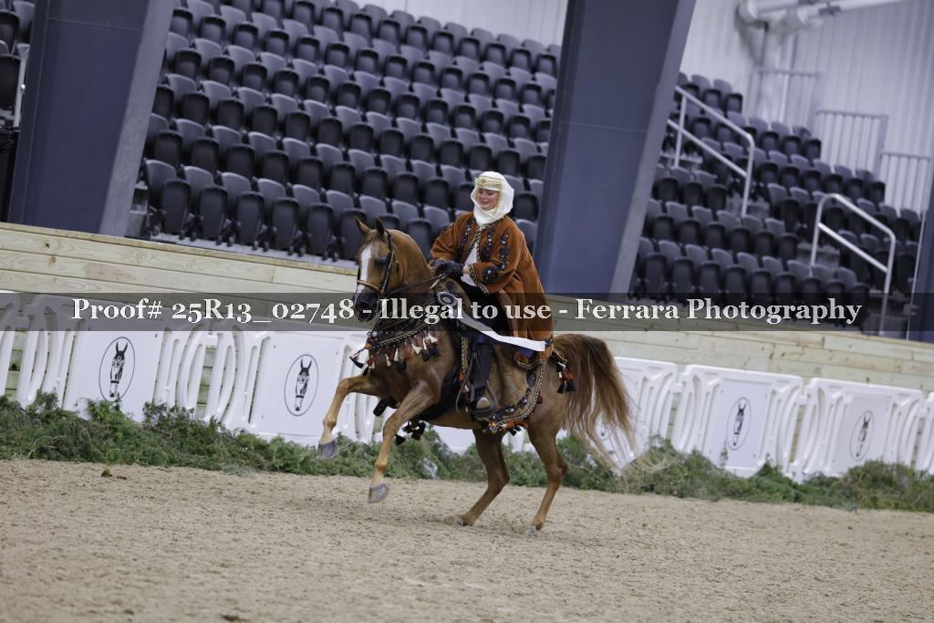 Proof 25R13_02748