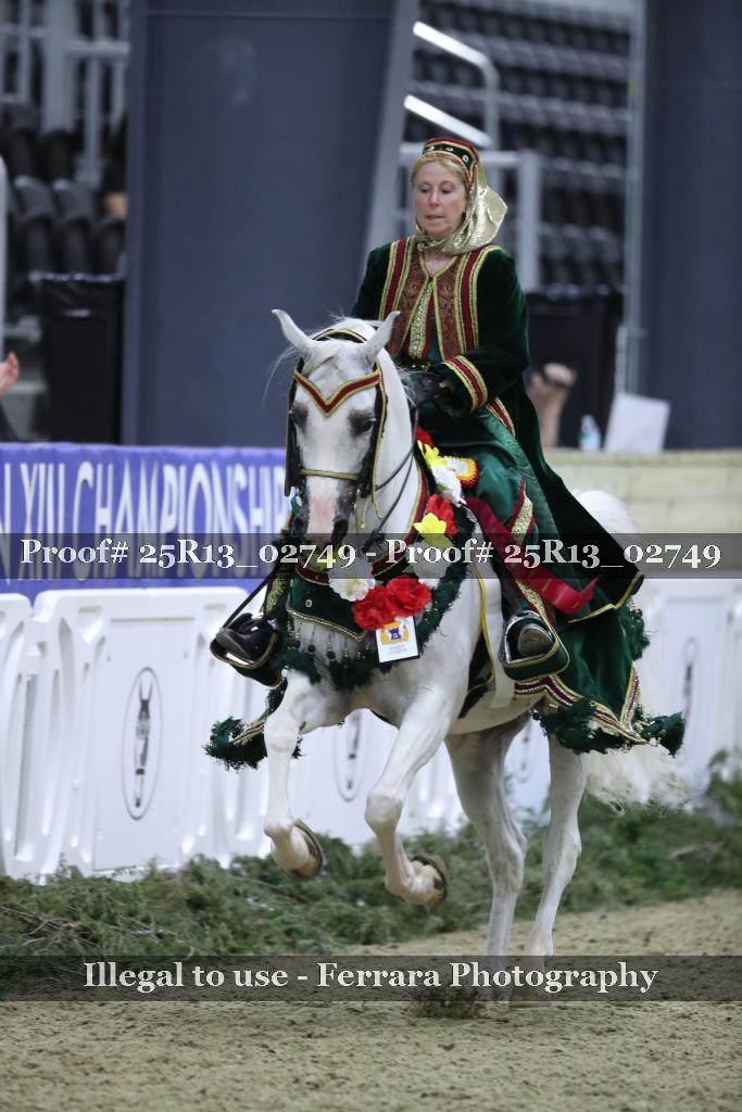 Proof 25R13_02749