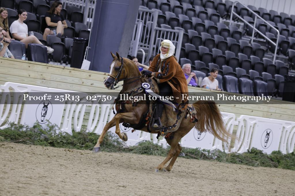 Proof 25R13_02750