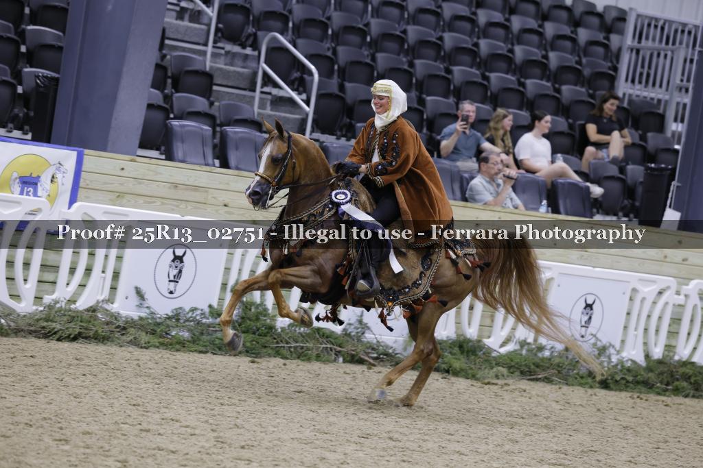 Proof 25R13_02751