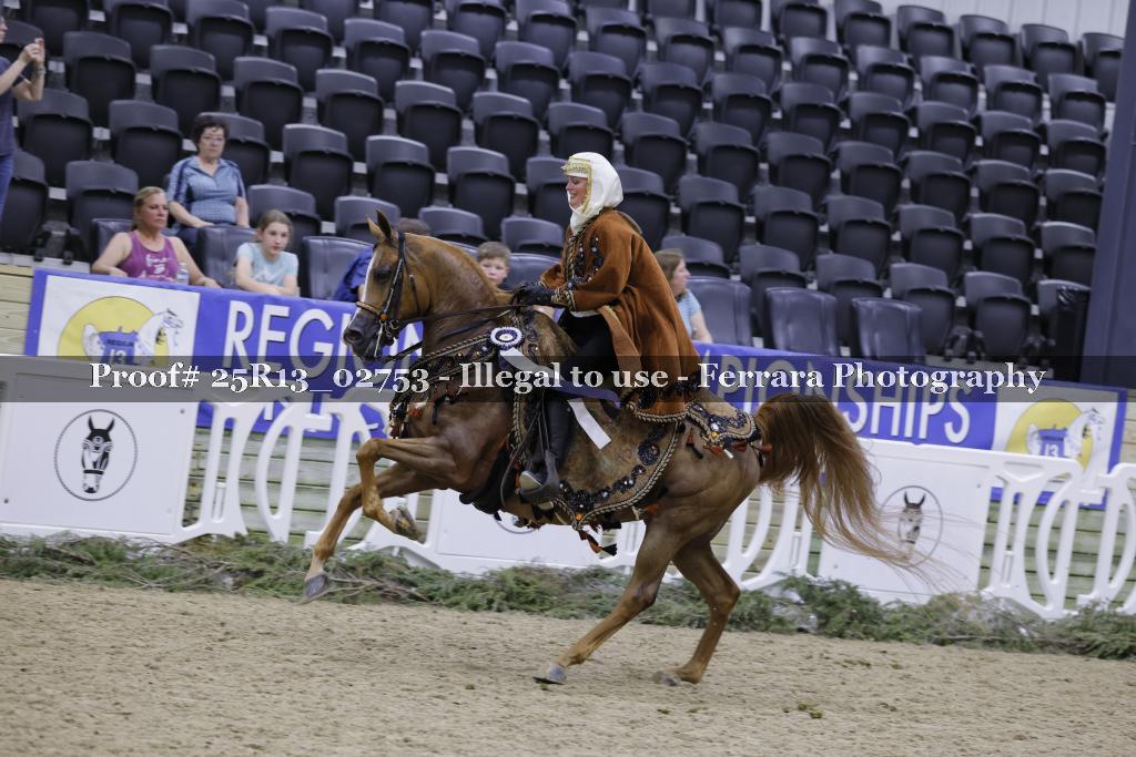Proof 25R13_02753