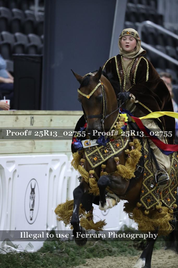 Proof 25R13_02755