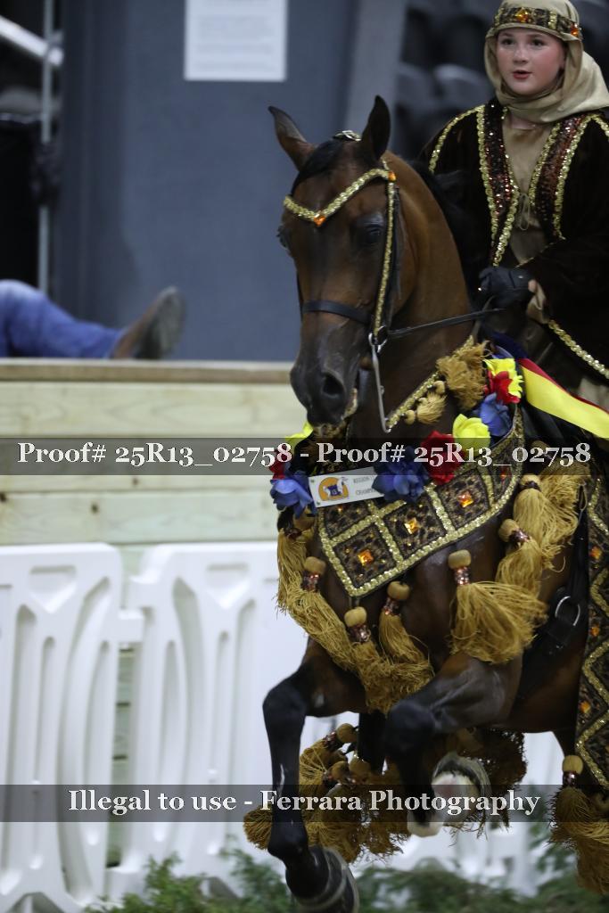 Proof 25R13_02758