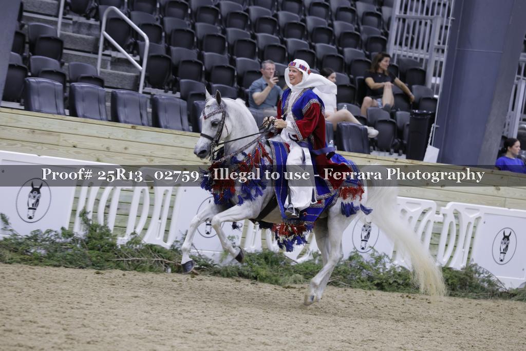 Proof 25R13_02759