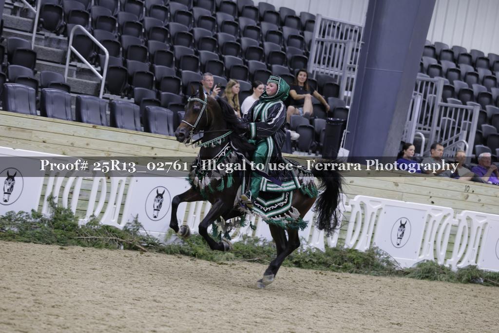 Proof 25R13_02761
