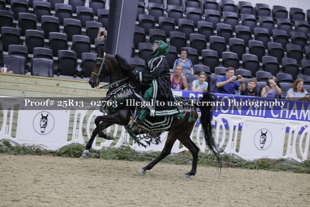 Proof 25R13_02763