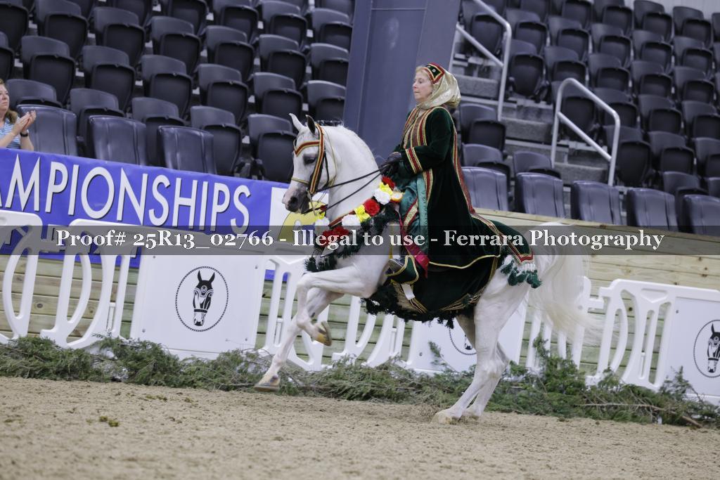 Proof 25R13_02766