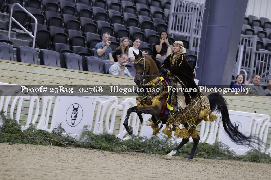 Proof 25R13_02768