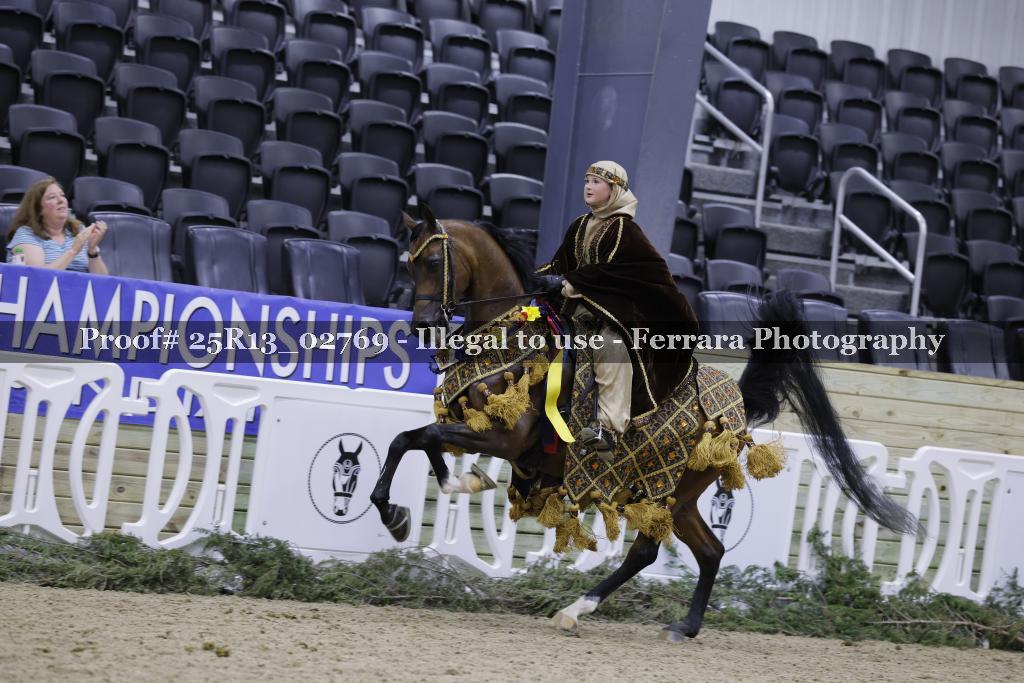 Proof 25R13_02769