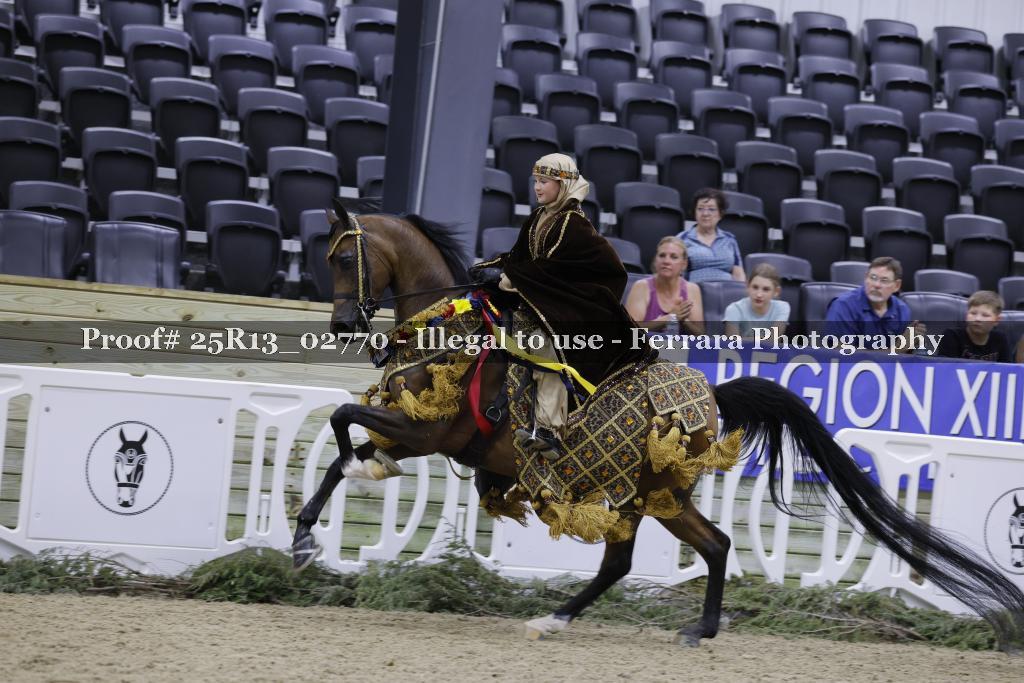 Proof 25R13_02770