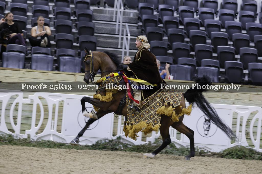 Proof 25R13_02771