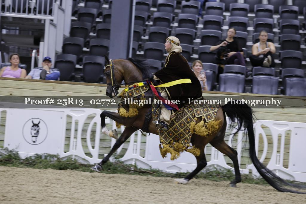 Proof 25R13_02772
