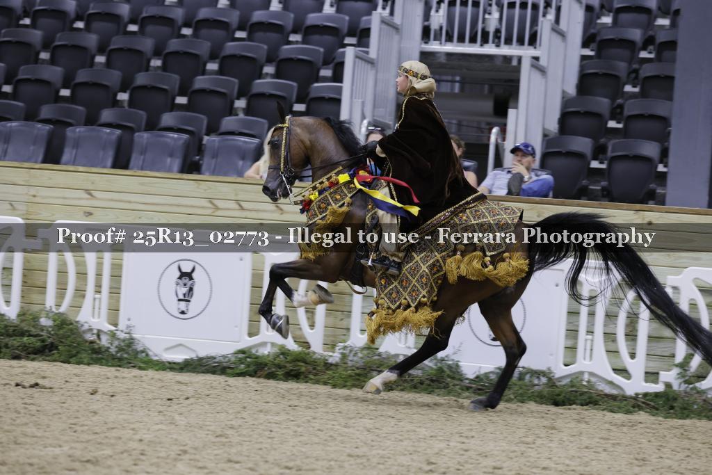 Proof 25R13_02773